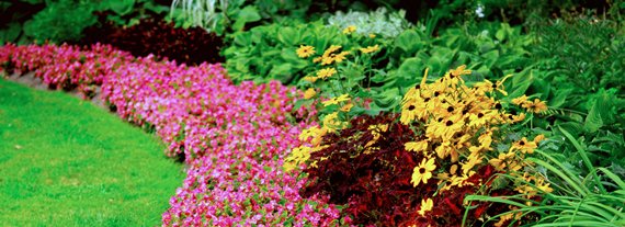 Landscape & Grounds Maintenance